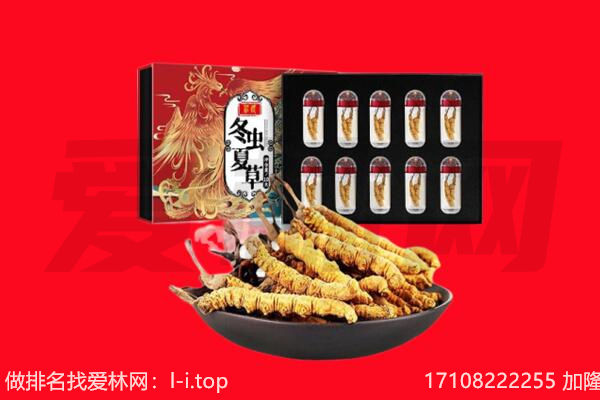 龙岩市回收虫草.jpg